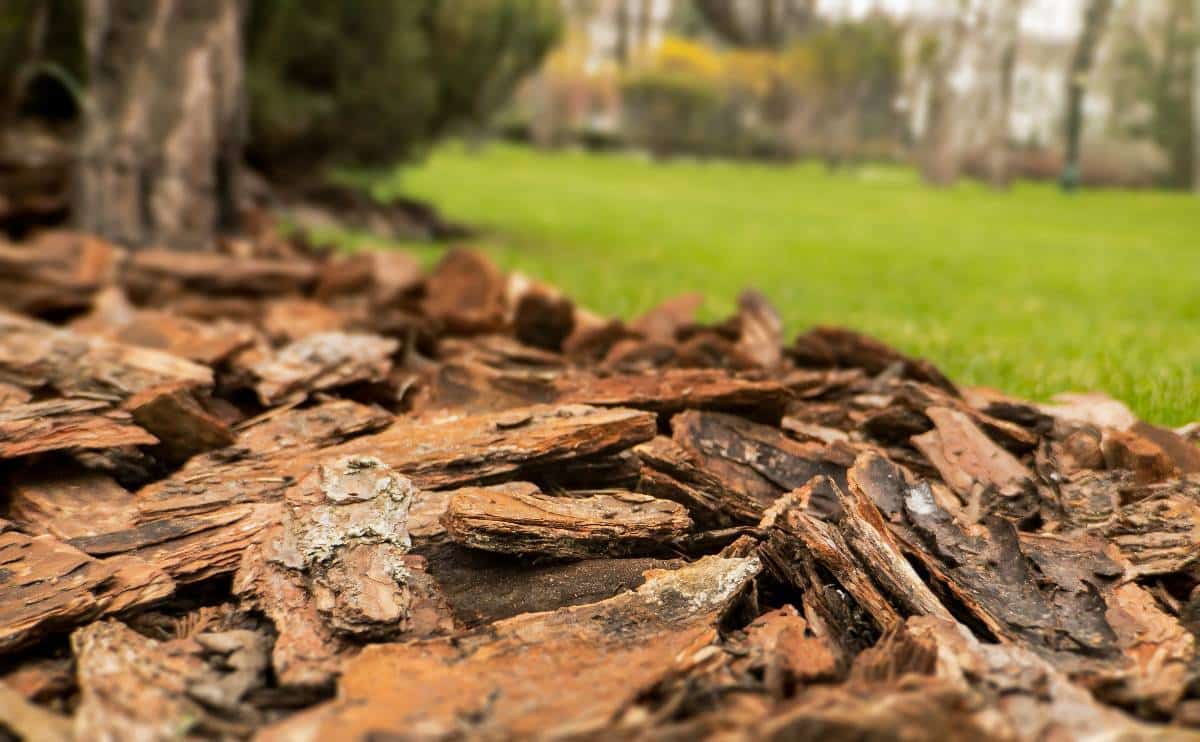 Close up image of large chunked mulch