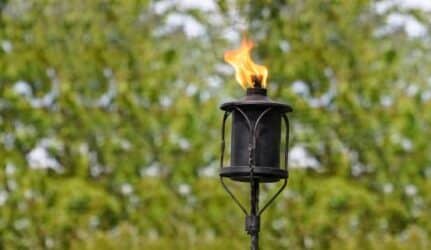 A row a citronella tiki torches lit in a backyard