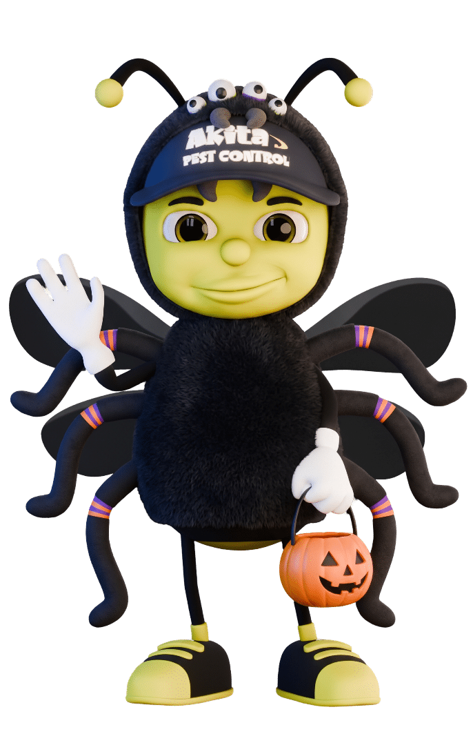 Spider Costume